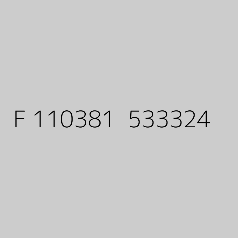 F 110381  533324 
